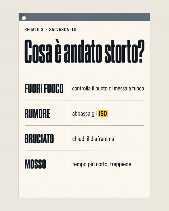 Salvascatto: fuori fuoco, rumore, bruciato, mosso